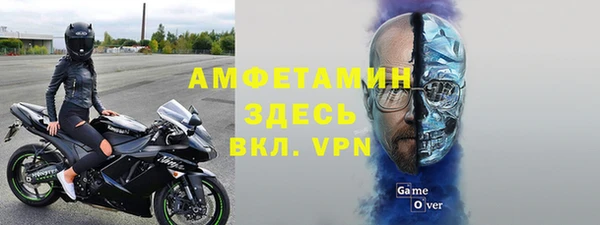 сатива Алзамай