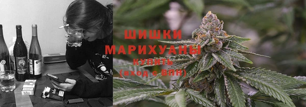 сатива Алзамай