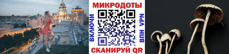 ОМГ ОМГ ссылки  магазин продажи   Чулым  Псилоцибиновые грибы мицелий 